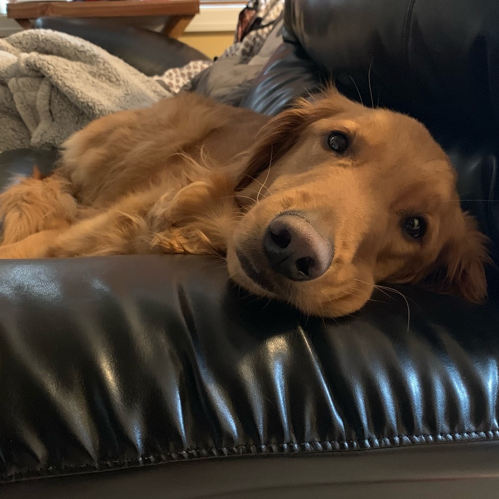 Meet your Posher, Kathryn